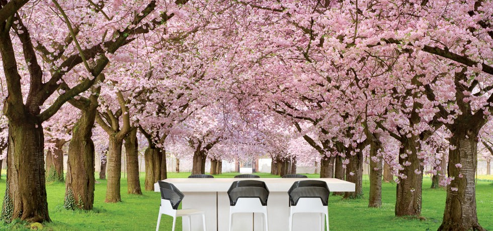 Perpetual Collection Tuscan White Trees Wchairs