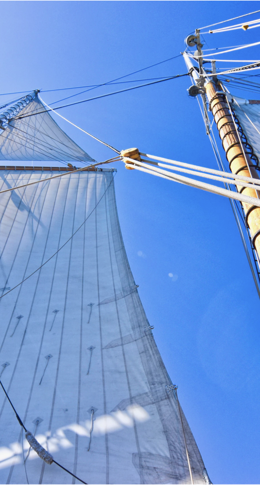 Best Images of White Sails