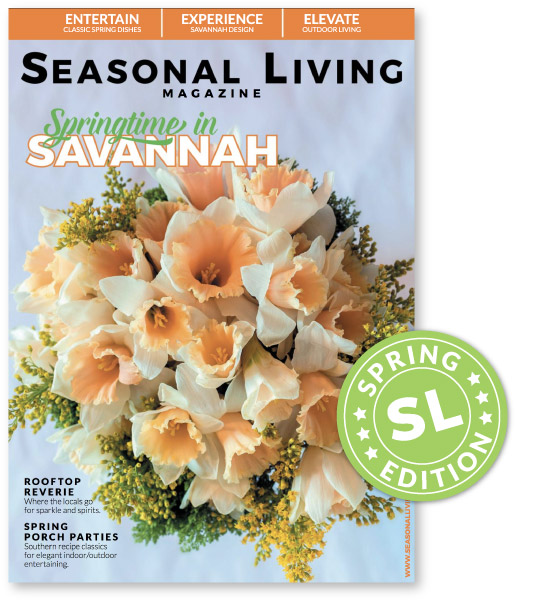 Shop Our Collections