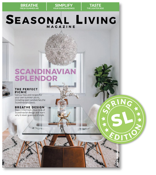 Shop Our Collections