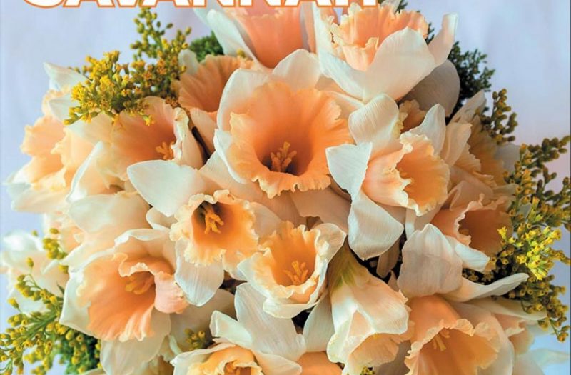 SL-Magazine-Cover-V5