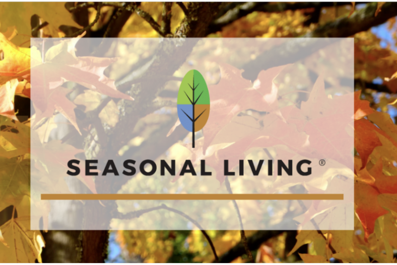 The Season's Best Indoor| Outdoor Fires